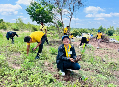 โครงการอาสาสมัครสหกรณ์ กิจกรรมพัฒนาอาสาสมัครสหกรณ์ ... พารามิเตอร์รูปภาพ 29